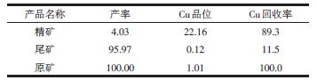 銅硫礦選礦工藝的新工藝