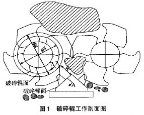 破碎輥工作剖面圖